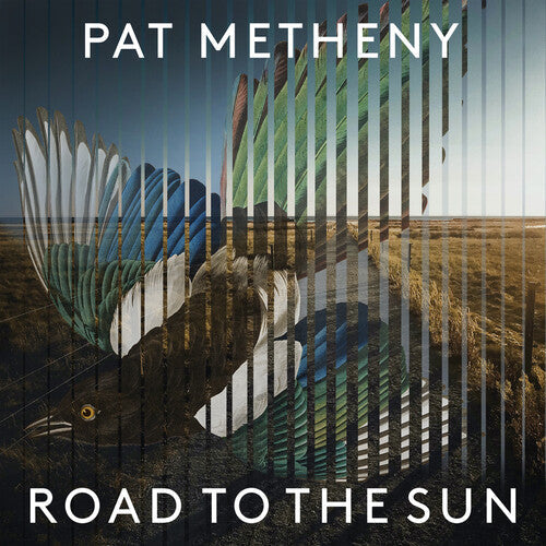 Pat Metheny: Road To The Sun - VINYL