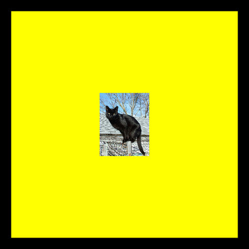 Pitto: Panthers on the Roof - VINYL
