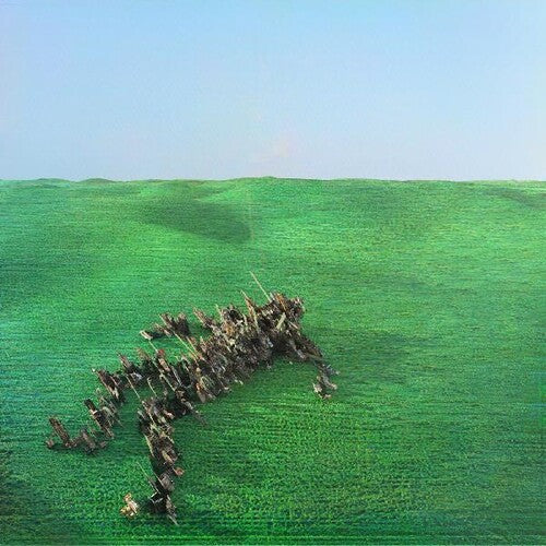 Squid: Bright Green Field - COMPACT DISCS