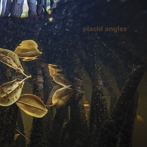 Placid Angles: Touch The Earth - 12-INCH SINGLE