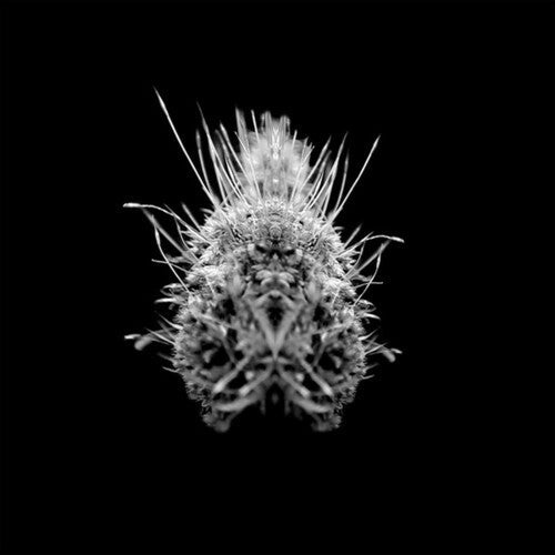 Selm: TiiiER / Post-Adrenaline - VINYL