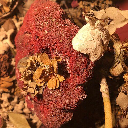 Sylph: Silver As It Was Before - VINYL