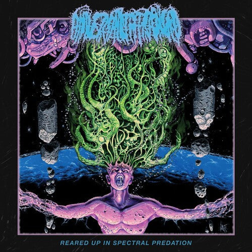 Universally Estranged: Reared Up In Spectral Predation - COMPACT DISCS