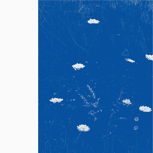Merzbow: Flare Blues - VINYL