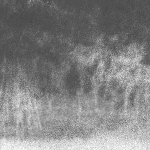 Perila: 7.37 / 2.11 - VINYL