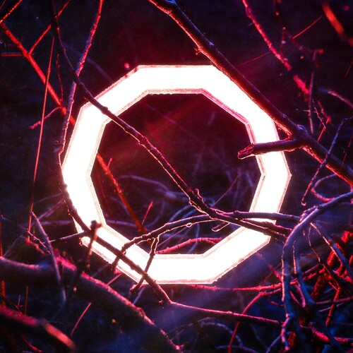 Hybrid Minds: Reflections - VINYL