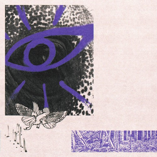Hippo Campus: Lp3 - COMPACT DISCS