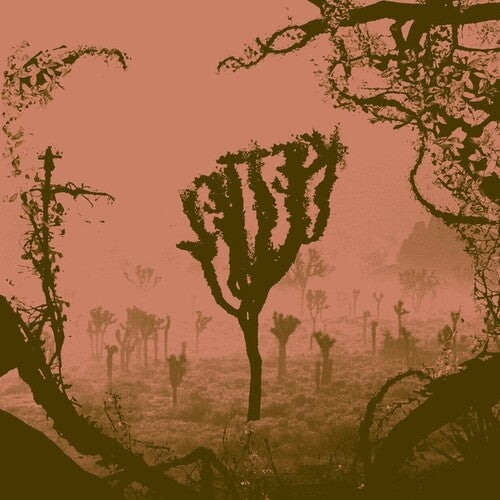 Kettel: My Dogan - VINYL