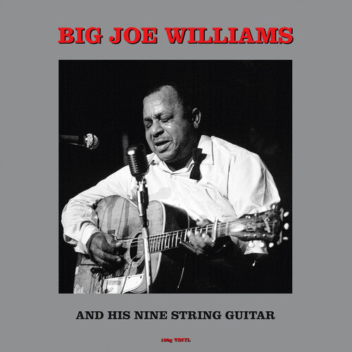 Big Joe Williams: And His Nine String Guitar (180gm Vinyl) - VINYL
