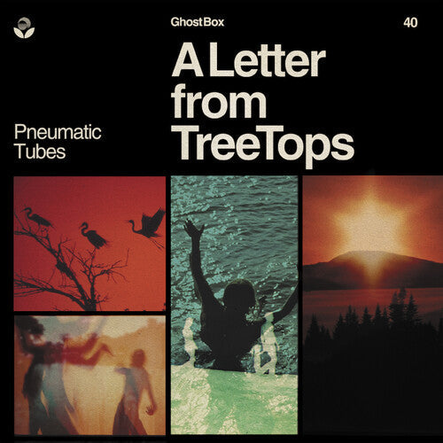 Pneumatic Tubes: Letter From Treetops - VINYL