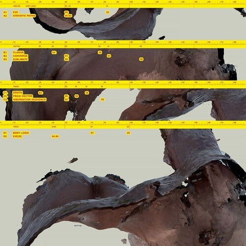 Awe Kid: Body Logic - VINYL