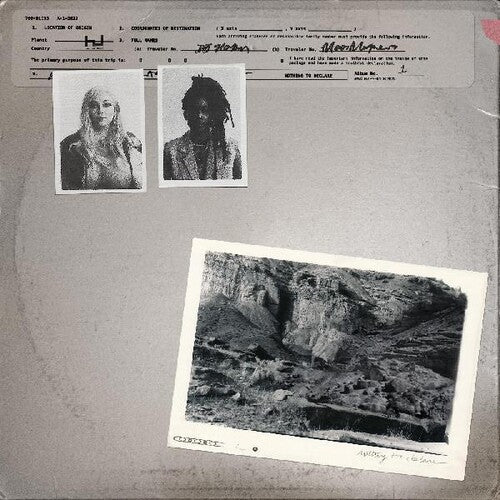 700 Bliss: Nothing To Declare - VINYL