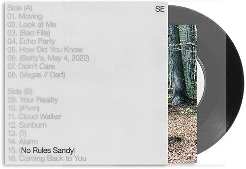 Sylvan Esso: No Rules Sandy - VINYL