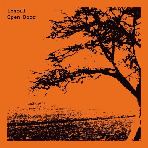 Losoul: Open Door - VINYL