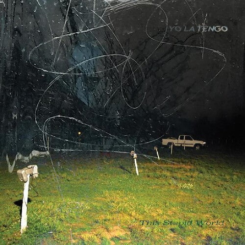 Yo La Tengo: This Stupid World - VINYL