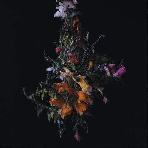 Big Brave: Nature Morte - COMPACT DISCS