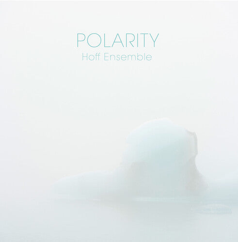Hoff Ensemble: Polarity - VINYL