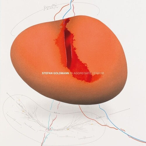 Stefan Goldmann: In Aggregate/Carob - VINYL