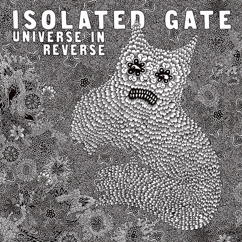 Isolated Gate: Universe In Reverse - VINYL