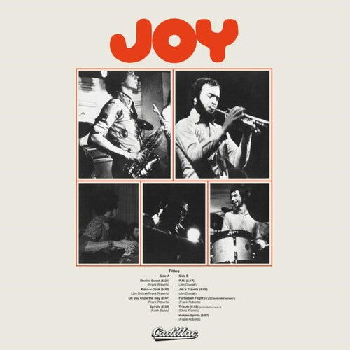 Joy: Joy - VINYL