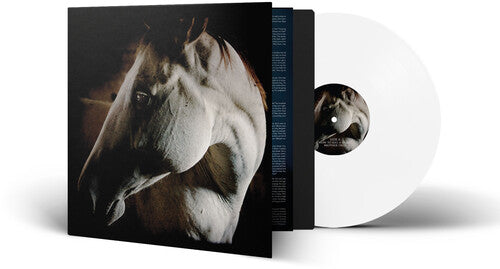 Brother Dege: How To Kill A Horse - VINYL