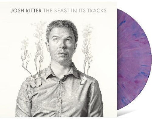 Josh Ritter: The Beast in Its Tracks - VINYL