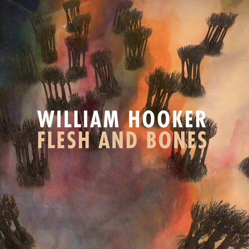 William Hooker: Flesh and Bones - COMPACT DISCS