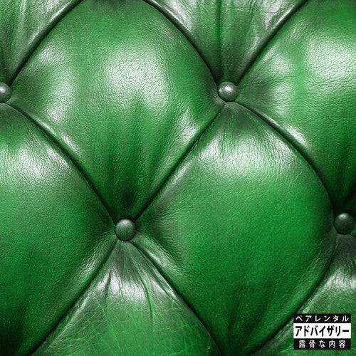 Sonnyjim / Camoflauge Monk: Money Green Leather Sofa - VINYL