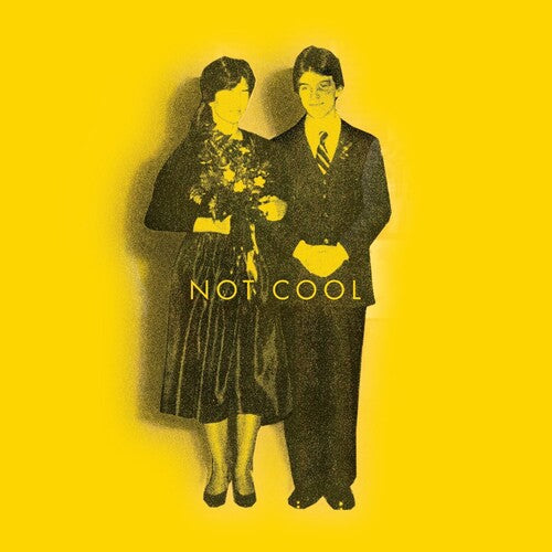 Tim Easton: Not Cool - VINYL