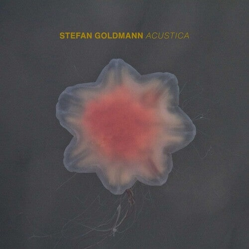 Stefan Goldmann: Acustica - COMPACT DISCS