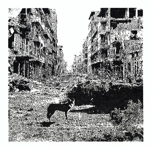 Vox Low: Keep On Falling - VINYL