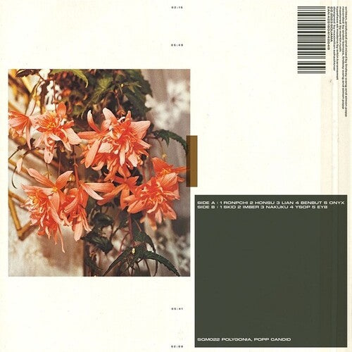 Popp Polygonia: Candid - VINYL