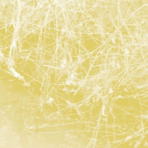 Celer: Cursory Asperses - COMPACT DISCS