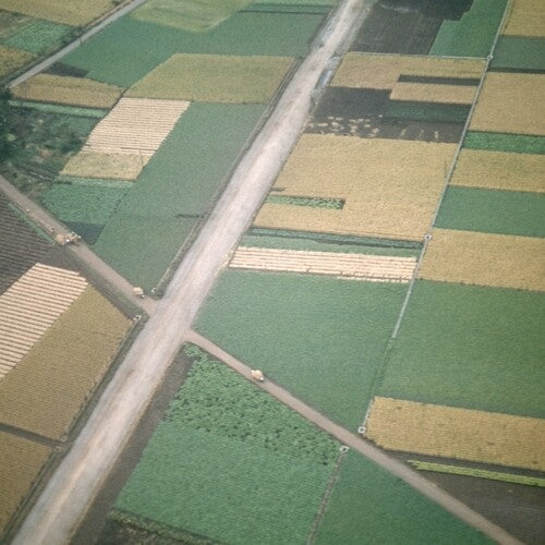 Celer: Perfectly Beneath Us - VINYL