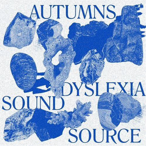 The Autumns: Dyslexia Sound Source - VINYL