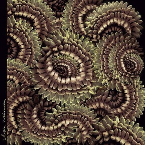 Clan Caiman: Pica Pau - VINYL