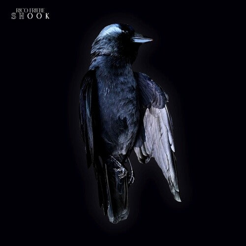 Rico Friebe: Shook - VINYL
