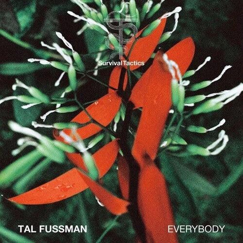 Tal Fussman: Everybody - 12-INCH SINGLE