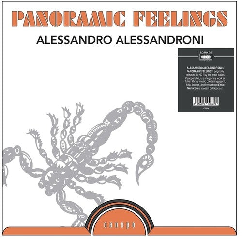 Alessandro Alessandroni: Panoramic Feelings - VINYL