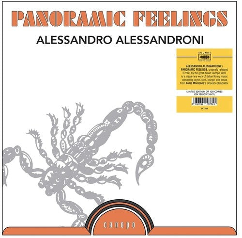 Alessandro Alessandroni: Panoramic Feelings - VINYL