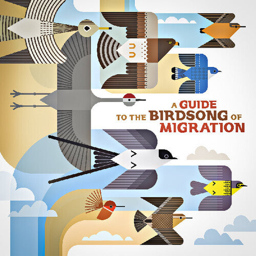 Various Artists: A Guide to the Birdsong of Migration (Various Artists) - VINYL
