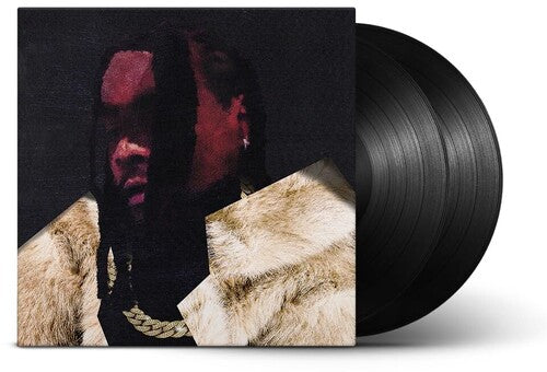 Wale: Everything Is A Lot. - VINYL