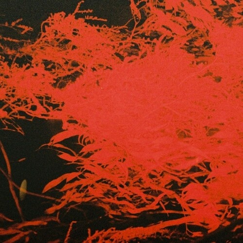 Anthony Naples: In Studio Magic - VINYL