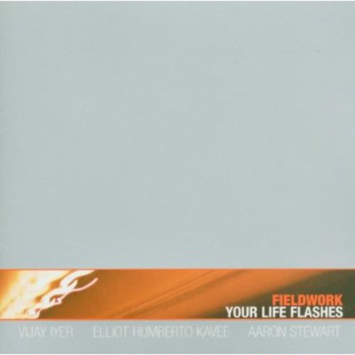 Fieldwork: Your Life Flashes - COMPACT DISCS