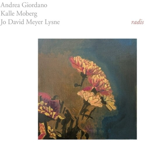 Giordano, Andrea / Moberg, Kalle: Radis - VINYL