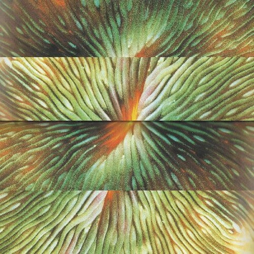Active Surplus: Mirroring - VINYL