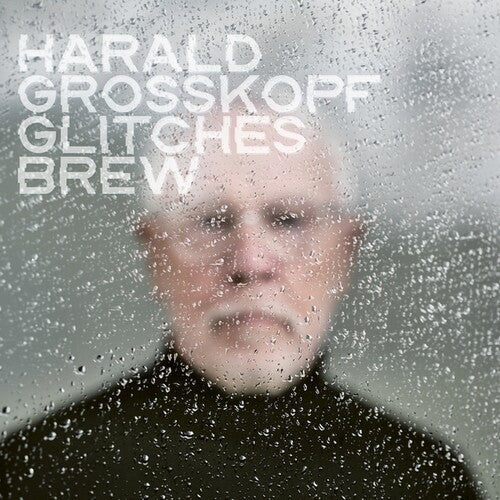Harald Grosskopf: Glitches Brew - VINYL