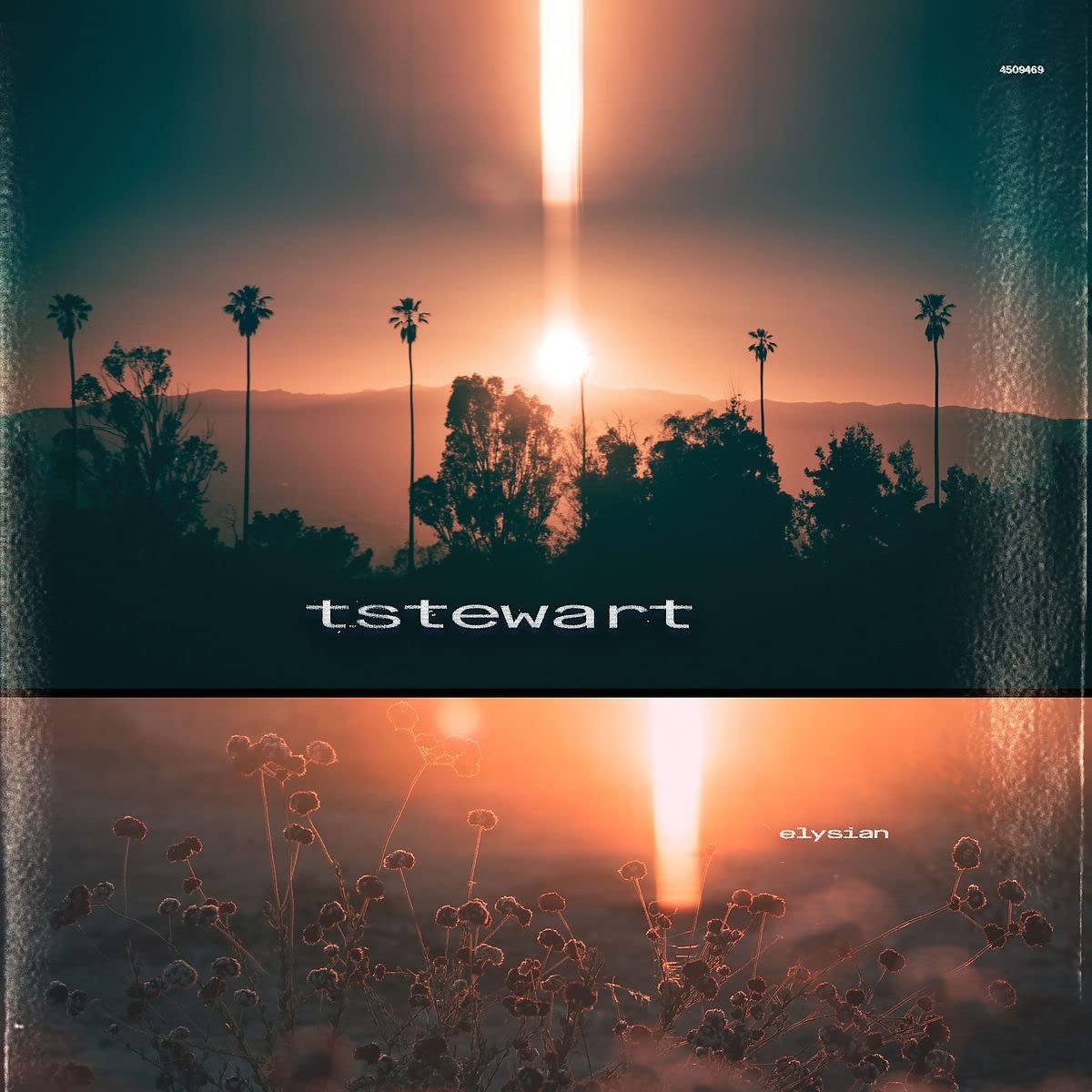 Tstewart: Elysian - VINYL