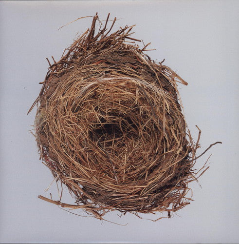 Wilco: A Ghost Is Born - VINYL